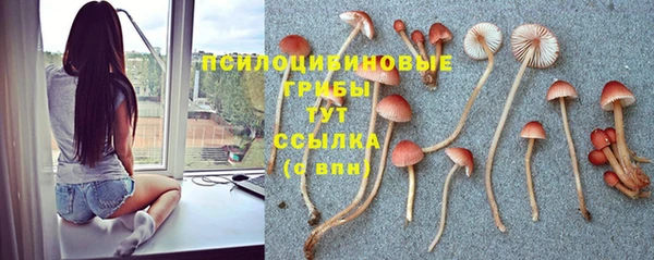 мяу мяу мука Козловка